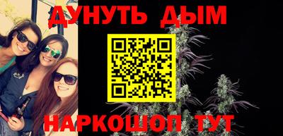 сатива Будённовск