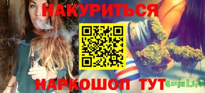 сатива Будённовск