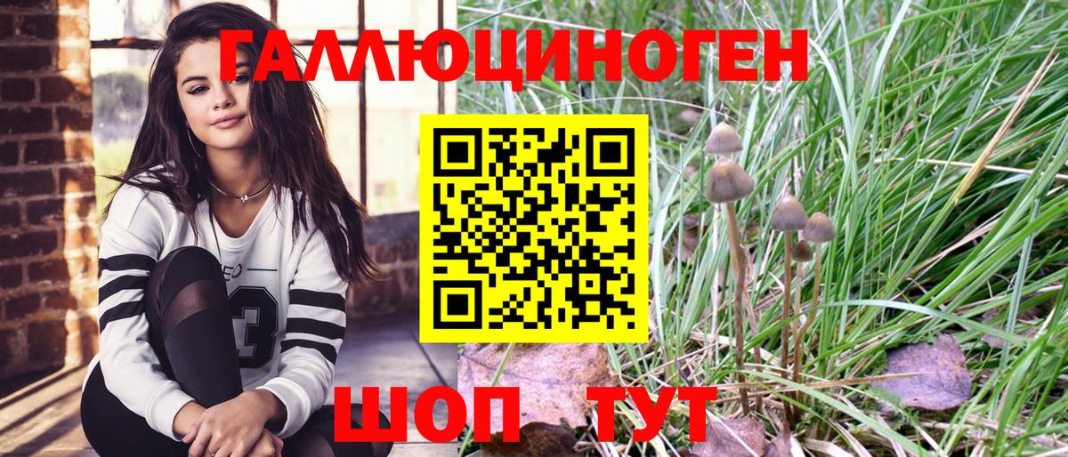 Псилоцибиновые грибы ЛСД Сегежа